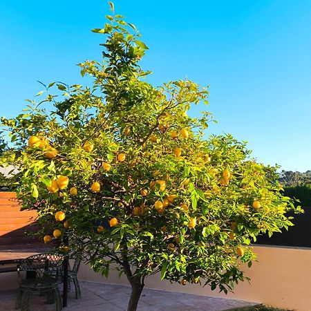 Adosado Con Jardin En Los Xalets De ซาลอว์ ภายนอก รูปภาพ