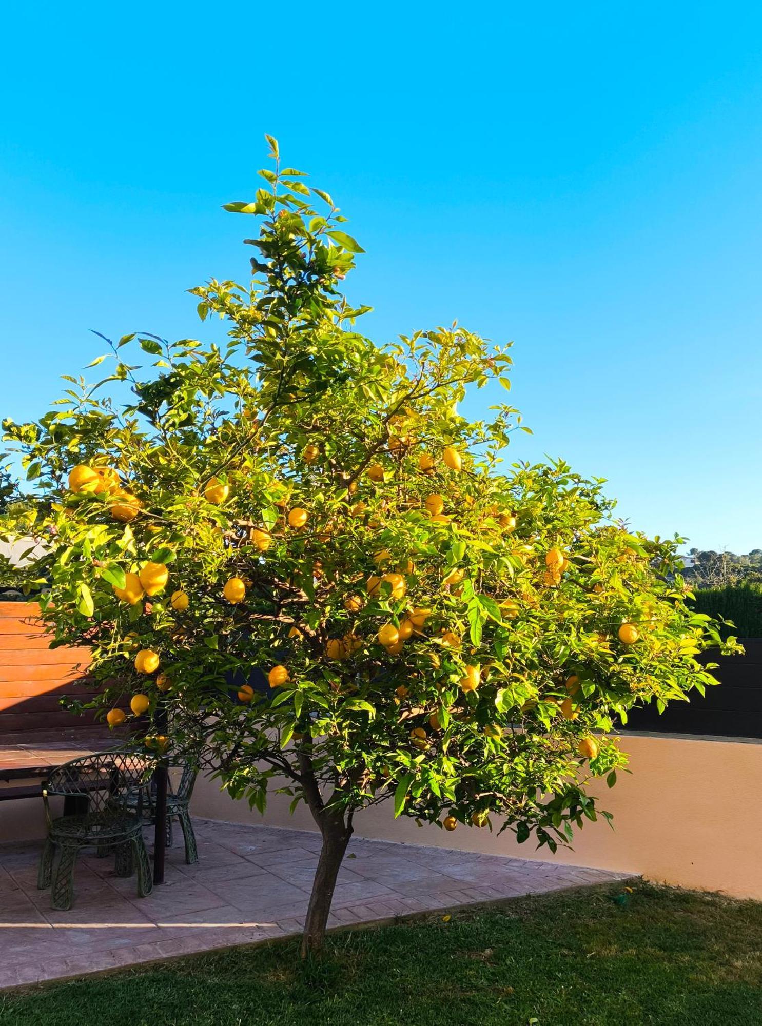 Adosado Con Jardin En Los Xalets De ซาลอว์ ภายนอก รูปภาพ